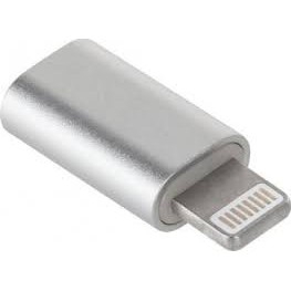 Adaptor Type C (mama) to Lightning (tata) cu Agatatoare Breloc inclusa, Argintiu [2]