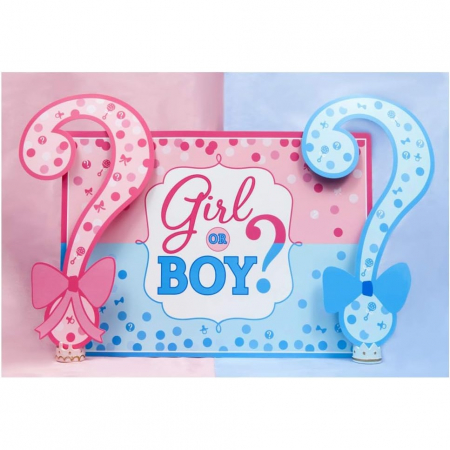 Sub 99 Lei - * LICHIDARE DE STOC * Banner pentru Petrecere, Flippy, Model Girl or Boy, Tematica Gender Reveal, 150 x 100 cm, Albastru Roz