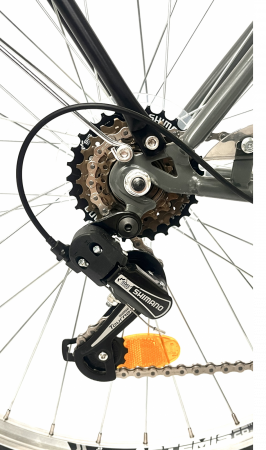Bicicleta Citadinne Shimano, S2603, 26 inch, Cadru Otel, Gri/Albastru [9]