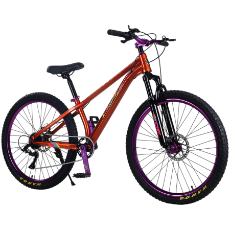 Biciclete 26" - Bicicletă de oraș RDB BDF-TPC, roți de 26 inch