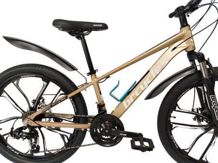 Bicicleta MTB 24″ BR A2404 Tornado, cadru Aluminiu, 21 viteze, Roti magnesium cu Shimano, Gold [6]