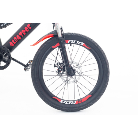 Bicicletă pentru copii RDB Albatros 20 inch, Frâne disc, model 2022 [4]