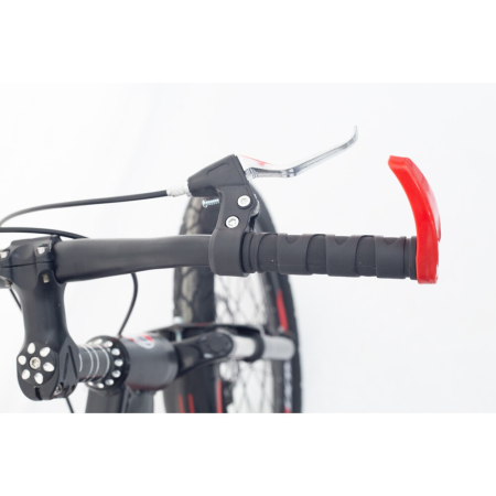 Bicicletă pentru copii RDB Albatros 20 inch, Frâne disc, model 2022 [2]
