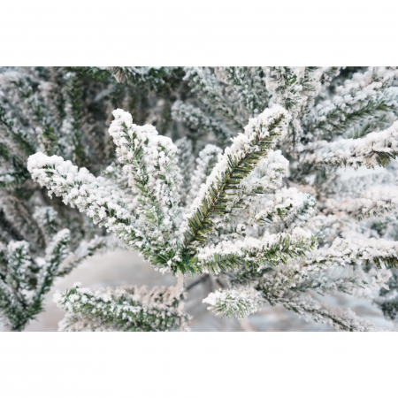 Lichidare Brad Artificial de Craciun, Flippy, 2.10 m inaltime, Verde, Pulverizat alb-tip zapada, Diametru inferior 130 cm, Interior/ Exterior [3]