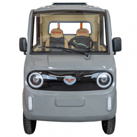 Camionetă electrică RURIS Pilot 5000G, 4900 W, autonomie 130 km, fara permis [1]