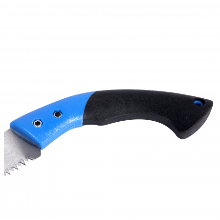 Fierastrau drept albastru [2]