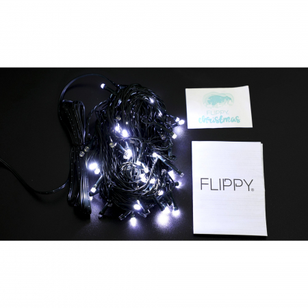 Instalatie Craciun liniara, cu transformator 31V, 10m, Alb Rece, 100 LED-uri V5, 8 jocuri de lumini, Fir verde, Flippy [3]