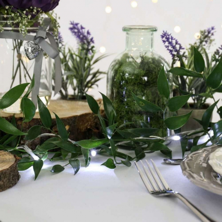 Instalatie de Craciun cu Baterii Tip Liniar, 2 jocuri de lumini, Fir Transparent 1 m 10 LED -uri, Alb Rece [1]