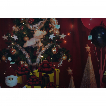 Accesorii si componente craciun - Instalatie de Craciun Flippy® Tip Turturi, Franjuri cu 8 jocuri de lumini, Sectiune 5 m, 143 LED-uri, Interconectabila, Fir Cupru, Alb Cald