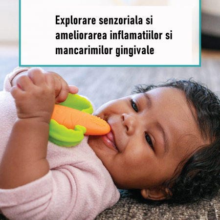 Jucarie dentitie bebelusi Flippy, morcov, 10x7.5x2.8 cm, cu manere de prindere, material silicon non-toxic, fara miros, portocaliu [5]