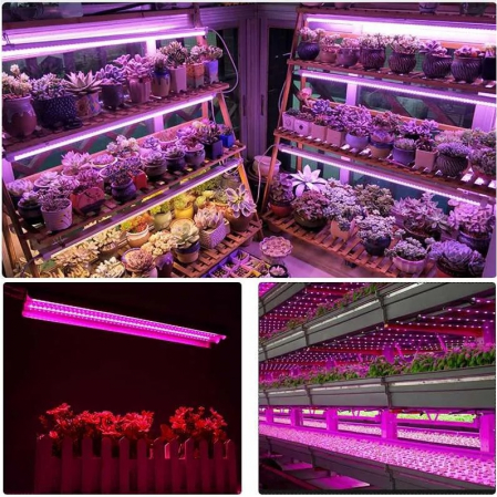 Lichidare Lampa dubla pentru cresterea plantelor Flippy, 50 cm, T5, tehnologie LED, nu afecteaza plantele, potrivit pentru intregul ciclu de crestere, multicolor [1]