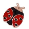 Martisoare Brosa Primavara - Martisor Brosa Mica in Cutie, Dimensiune Brosa 2.5-3 cm, Material Metal, Model Buburuza