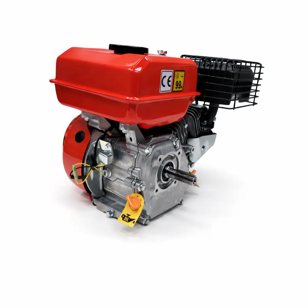 Consumabile, piese și accesorii - Motor R210 pentru RO75R pentru motocultor Rotakt