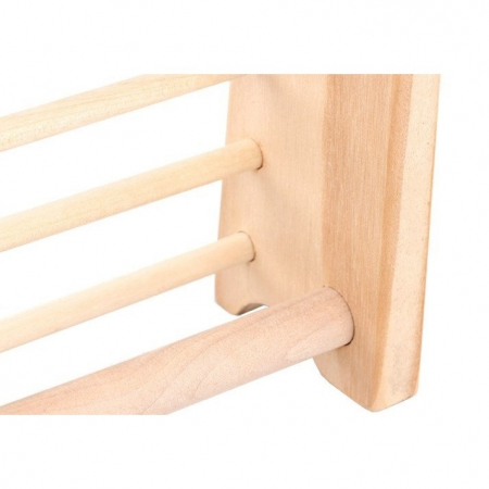 Numaratoare , din Lemn, Vopsea Ecologica, 10 Siruri x 10 Margele, 4-6 Ani, 24.5 x 20.5 cm, Multicolor [1]