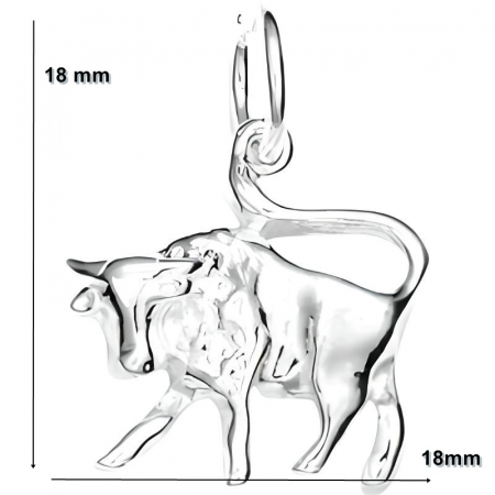 Pandantiv din Argint 925 Jolie Silver, Zodia Taur, 18 x 18 mm, 1 g [3]