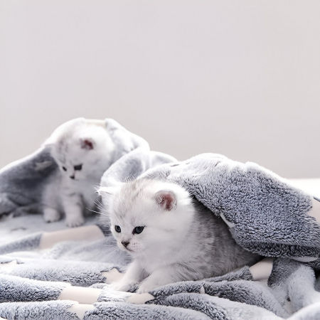 Patura Fosforescenta, Flippy, Moale, Pufoasa, Lumineaza in Intuneric, 1.5x2 m, Model Cer Instelat, Gri [6]