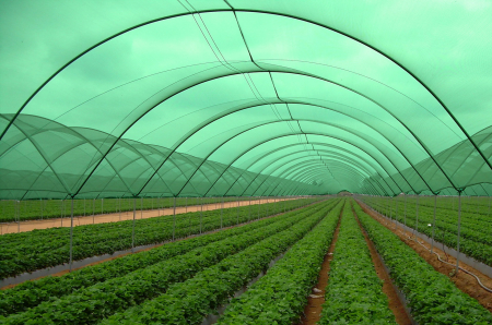 Plasa de umbrire 6*100m 30g 30% [4]