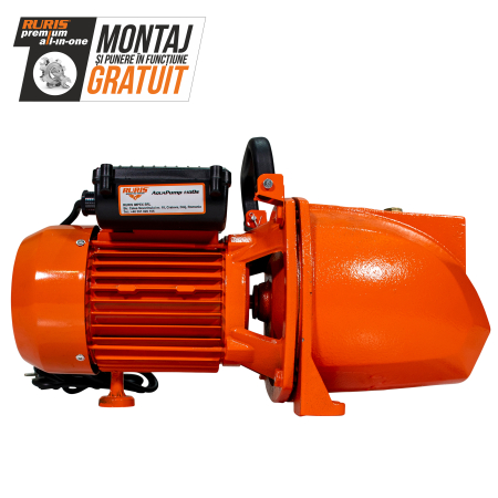 Pompa de gradina ruris aqua pump 1100s [0]