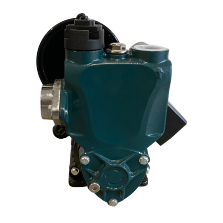 Pompa Mini Hidrofor Wertcraft AGR WDM800, 850 W, 50 M Refulare, 90 L/Min [3]