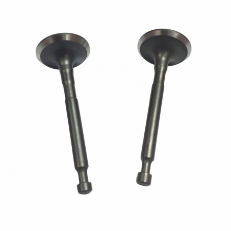 Consumabile, piese si accesorii - Supape compatibilie Honda GX 160 (5.5hp, 6.5hp, 168F), Elefant