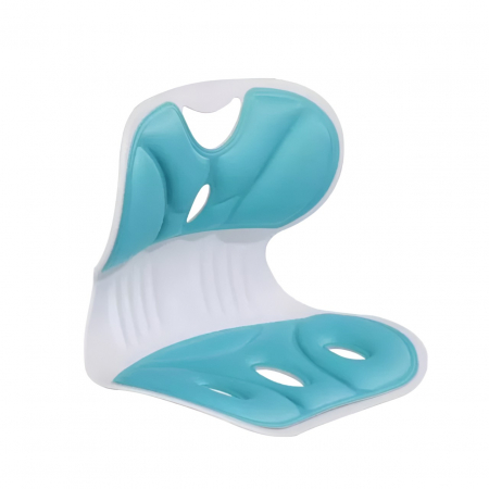 Pentru Casa si Camping - Suport pentru Scaun, Flippy, pentru Corectarea Posturii, Portabil, Ergonomic, Ameliorare Durere, Respirabil, 32x29x28 cm, Marime S, Verde