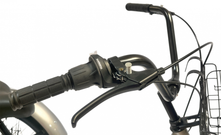 Tricicleta adulti, Fat cauciuc cu cos 24 inch Gri T2401 [4]