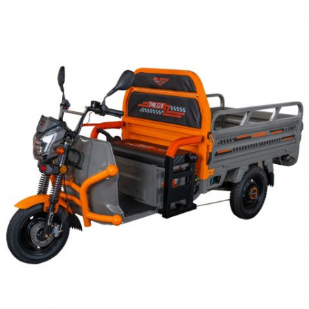 Fără permis - Triciclu Electric Cargo Ruris Pilot 3120G, 2000 W, autonomie 70 km, fara permis, bena basculabila