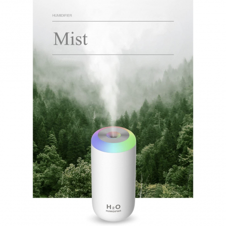 Umidificator, H2O, cu difuzor de aroma, Culori random [10]