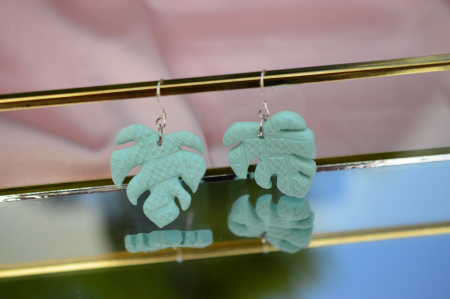 Cercei Monstera [2]