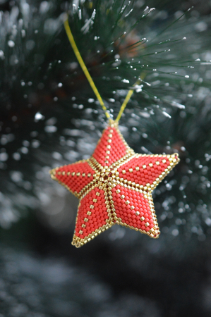 Ornament Stea [1]