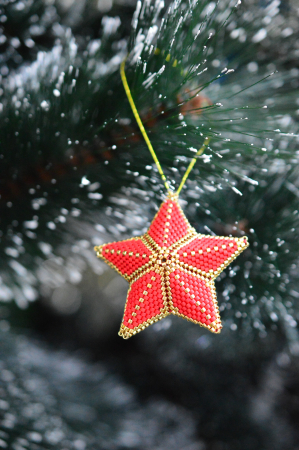 Ornament Stea [2]