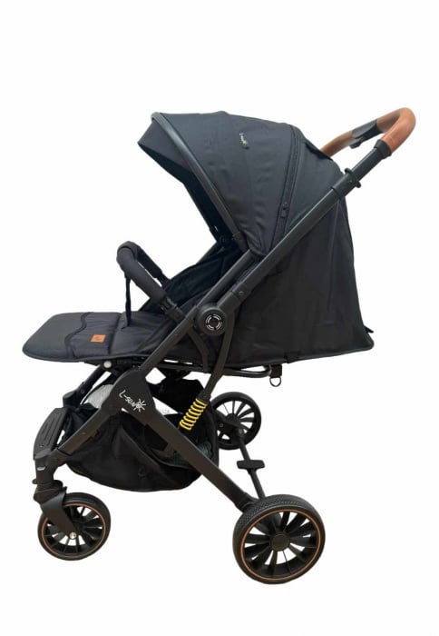 Carucior sport, Cu maner reversibil, 0-36 luni, Suspensie pe cadru, Husa de picioare, Strangere tip troler [6]