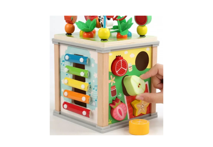 Cub Montessori din lemn, 10 activitati in 1 [5]