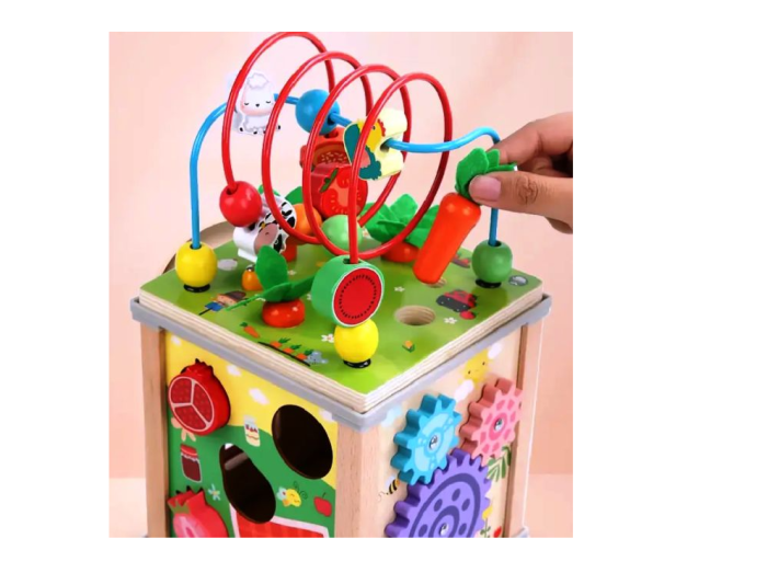 Cub Montessori din lemn, 10 activitati in 1 [6]