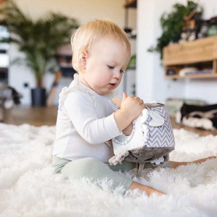 Jucarie cub activitati Babyono Koala Coco [12]