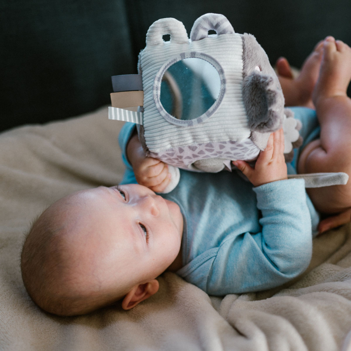 Jucarie cub activitati Babyono Koala Coco [10]