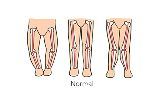Premergator, reglabil, cu bara de jucarii si tablou muzical, Verde [2]