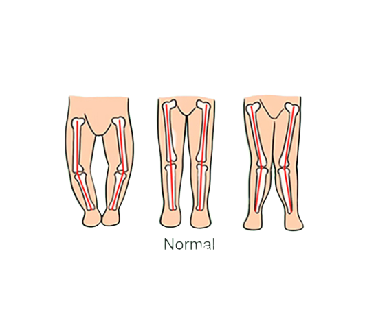 Premergator, Bubu-Still®, 3 in 1, roti din silicon, muzical, cu control parental, +6 luni, Albinuta harnicuta [2]