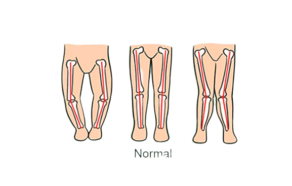 Premergator cu jucarii, Muzical, Cadru bazal antirasturnare, 6 roti duble, Albastru [3]