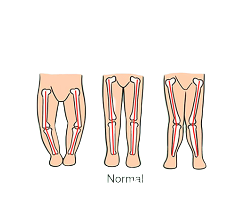 Premergator, structura piramidala cu baza rotunda, Bubu-Still, muzical si reglabil pe inaltime, roti din silicon, albastru [3]