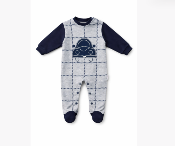 Salopeta baietei, Model masinuta [2]