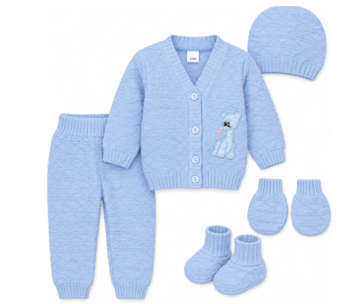 Set 5 piese tricotat, pentru bebe, Albastru [2]