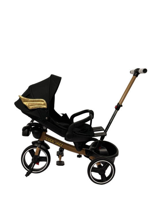 Tricicleta cu scaun reversibil , 6 luni-5 ani, cu pozitie de somn, roata cauciuc, cu lumini si muzica, Cool  Jazz [5]