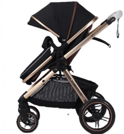 Carucior copii, 2 in 1, multifunctional, Pliere compacta tip carte, suspensie la roti [1]