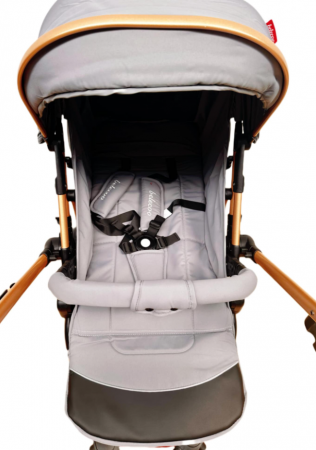 Carucior Sport Pentru Copii, Maner reversibil, Suport biberon, Plasa de tantari, Copertina extensibila, Cu suspensii, Recomandat transport par avion, Gri [5]