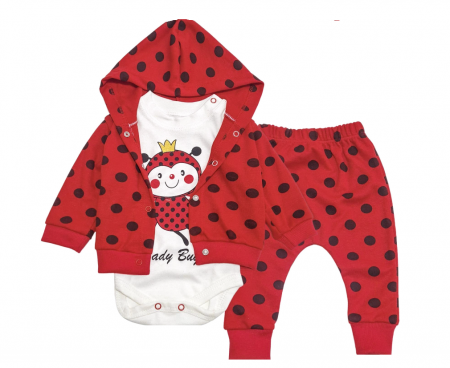 Set nou nascut - Compleu 3 piese, cu hanorac, model buburuza