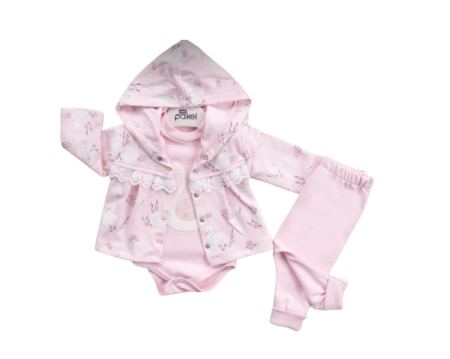 Set nou nascut - Compleu fetita, 3 piese,Lebada gratioasa