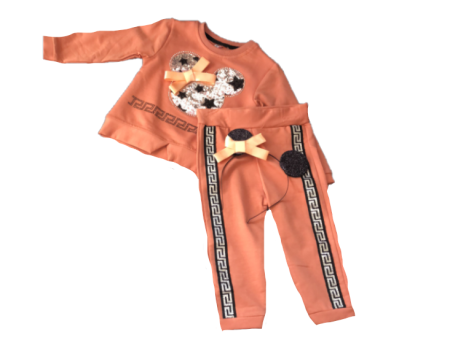 Costumase toamna-iarna - Costumas gros,cocolino,roz