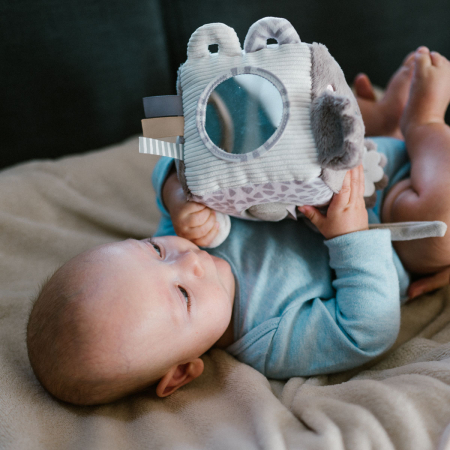 Jucarie cub activitati Babyono Koala Coco [9]