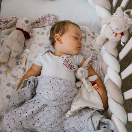 Jucarie plus de atasament iepuras Milly Babyono [2]